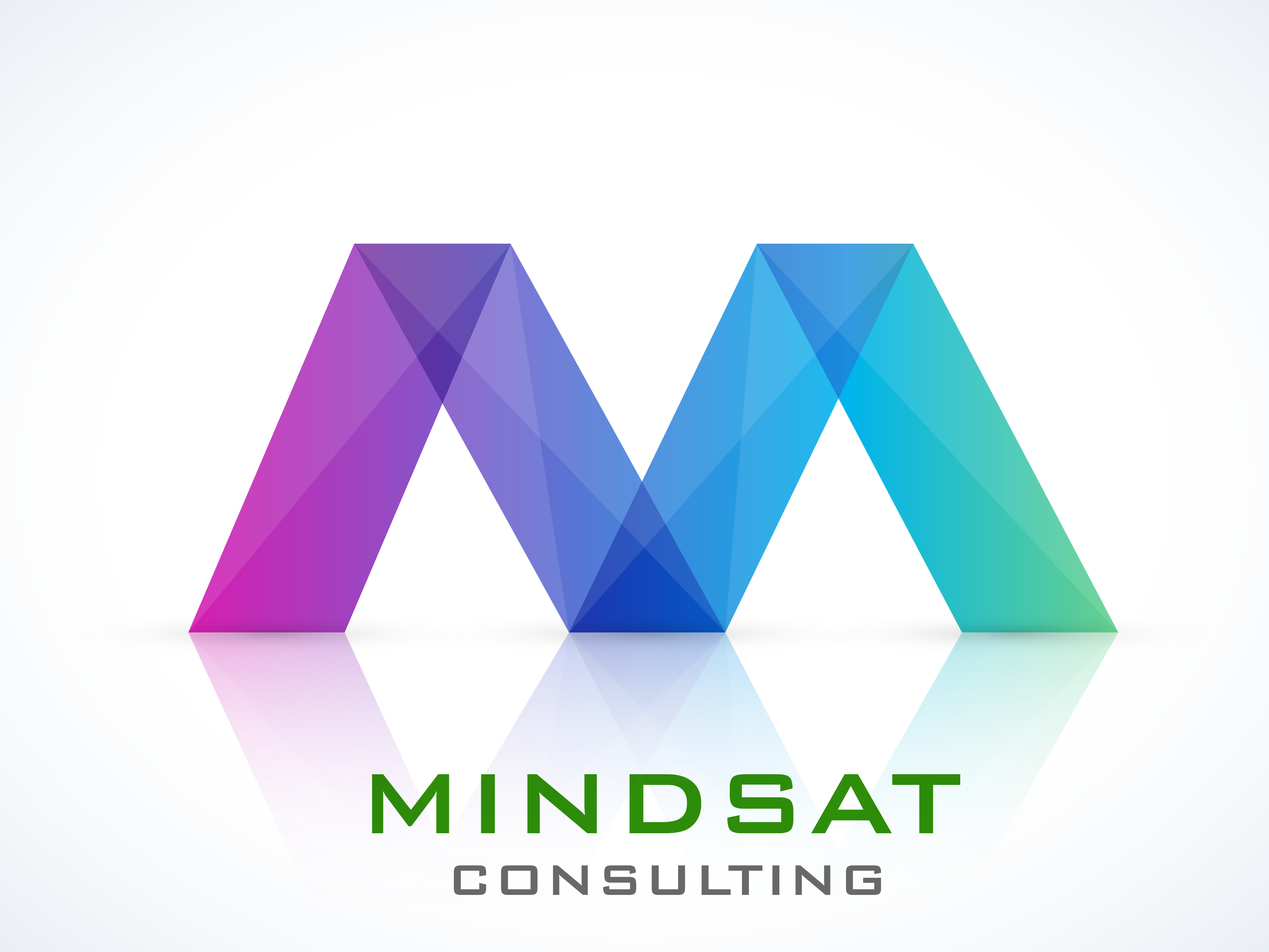 MINDSaT Training & Consulting